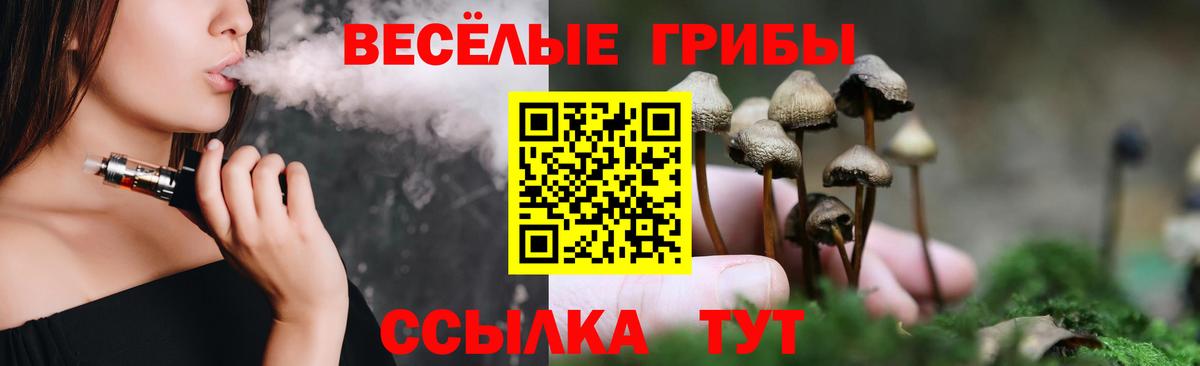Псилоцибиновые грибы Cubensis  Галлюциногенные грибы Cubensis  Петропавловск-Камчатский  Вход с VPN 